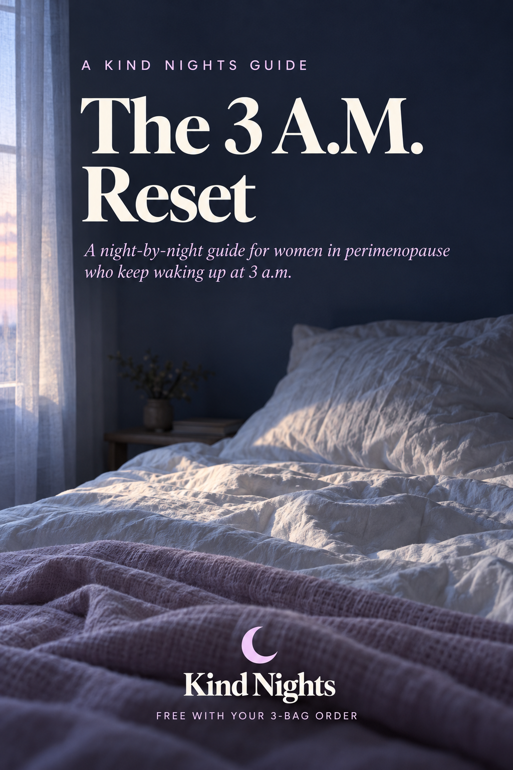 The 3 A.M. Reset (e-book)