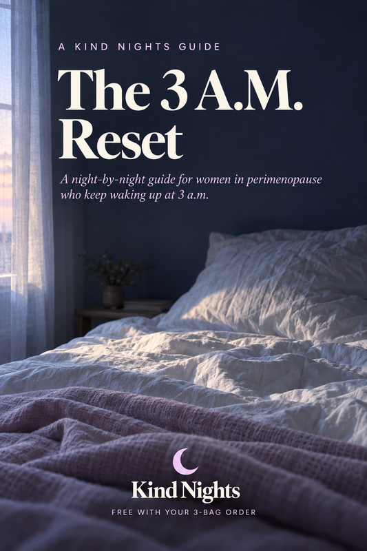 The 3 A.M. Reset (e-book)